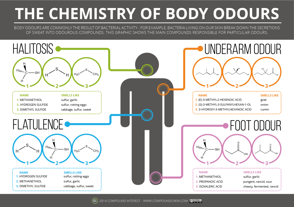 Chemistry-of-Body-Odors